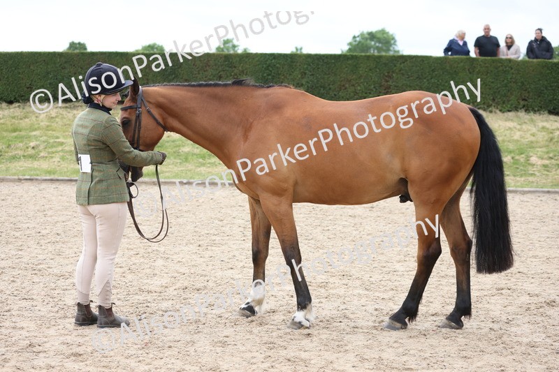 20250524-1021 - Class 9 - Cob and Hunter