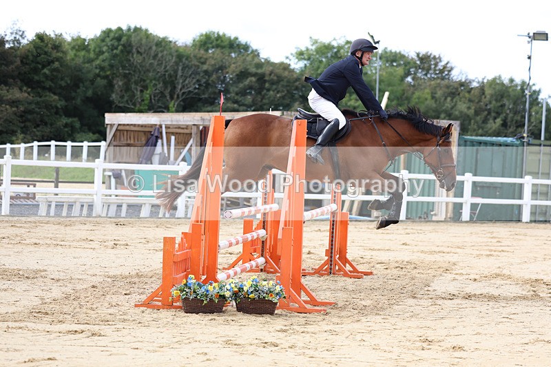 3E7A2078 - Class 4: Senior British Novice/90cm open