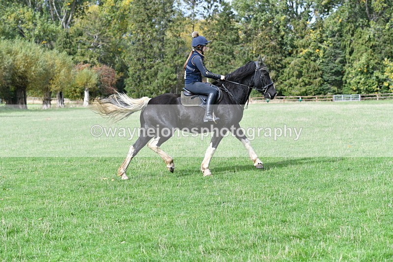 WJ5_9431 - Time 13:03 to 13:25