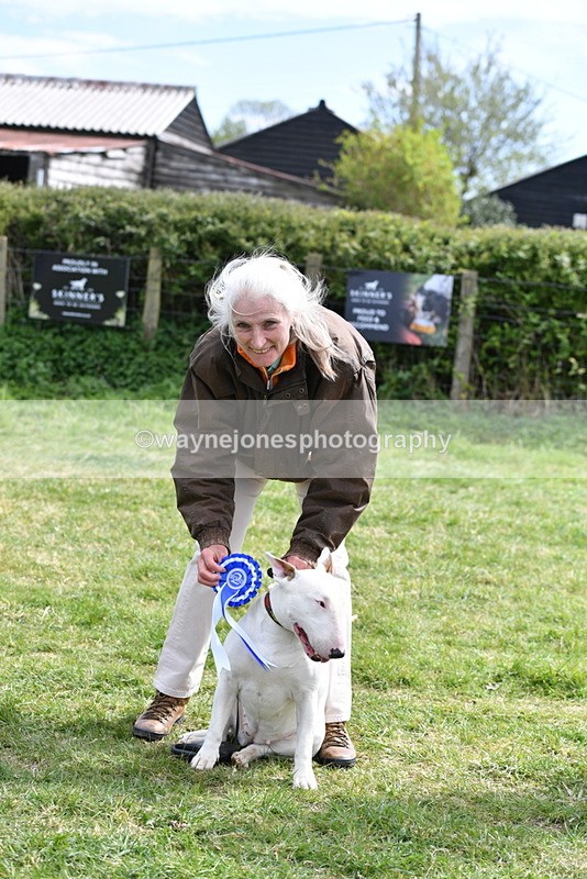 WJ5_0635 - Class 7 Best Terrier