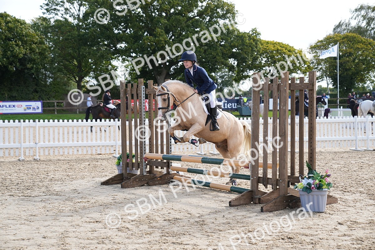 SBM_02616 - J55 - Clear Round 60cm