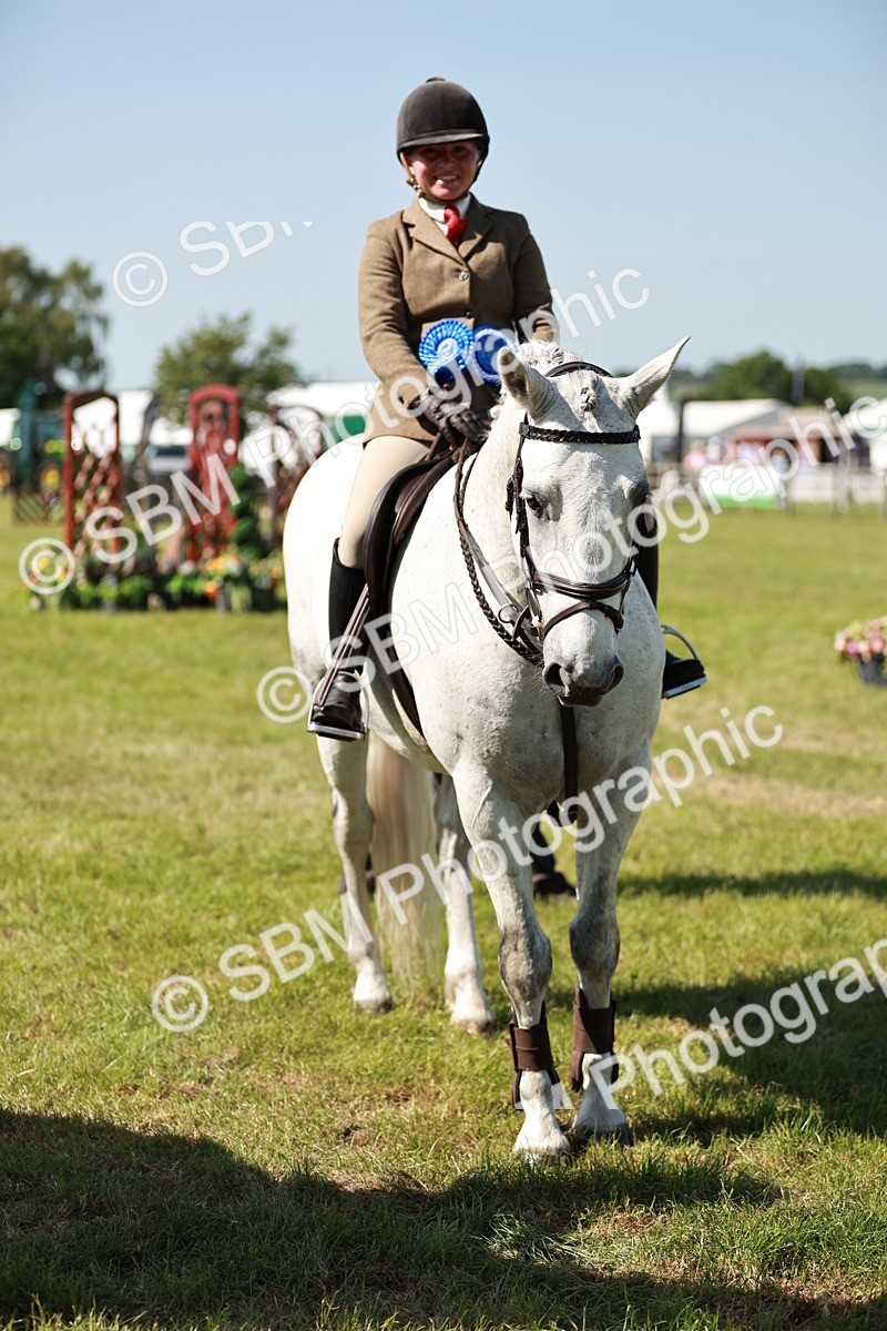SBM_18553 - Class 112-113 - BSPS LIHS Working Sports Pony