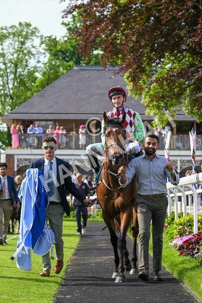 170524-Race 6-Riot-8656 - Race 6 4.45pm Yorkshire Equine Practice Handicap