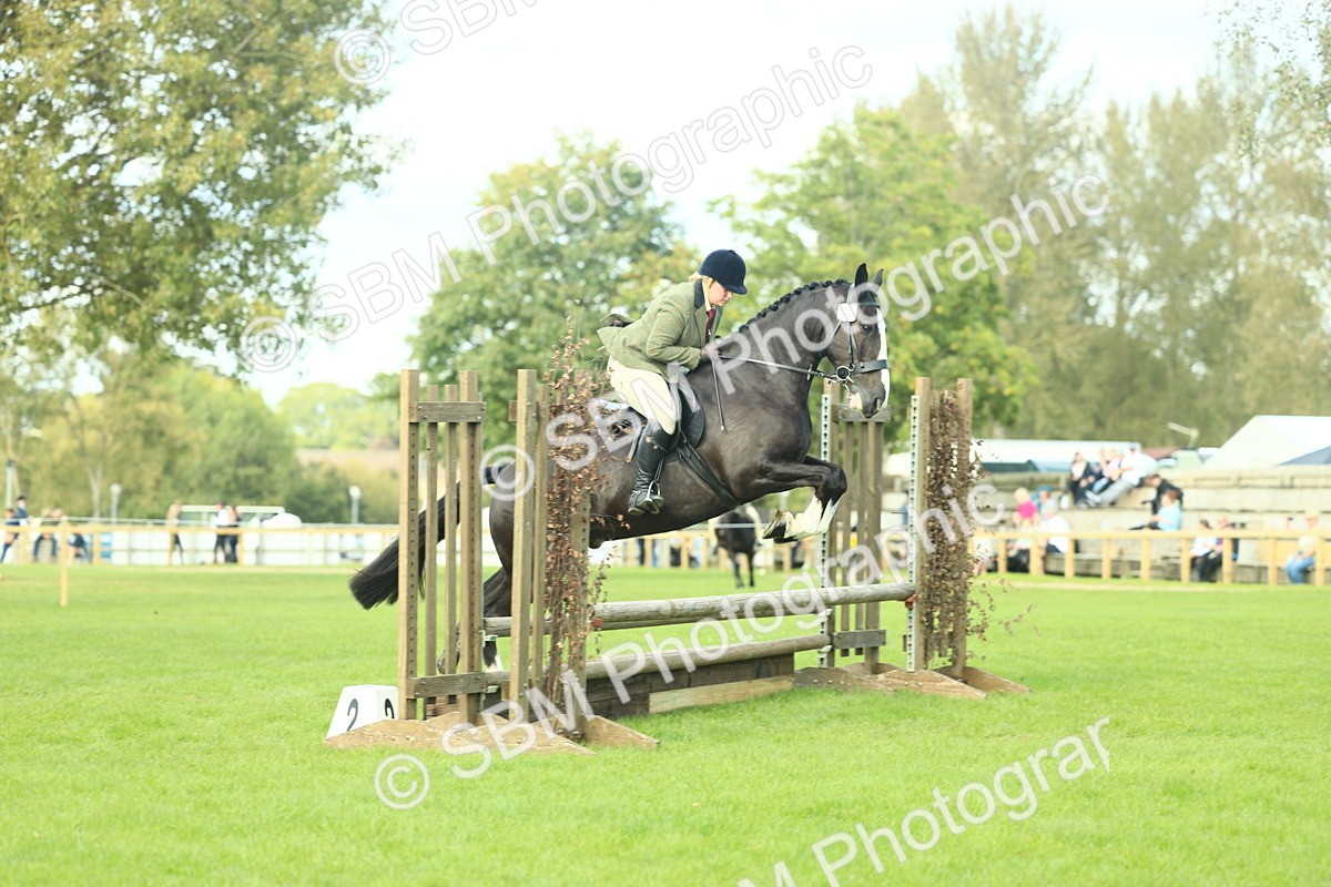 SBM_50615 - S33 - Working Hunter & Working Show Horse