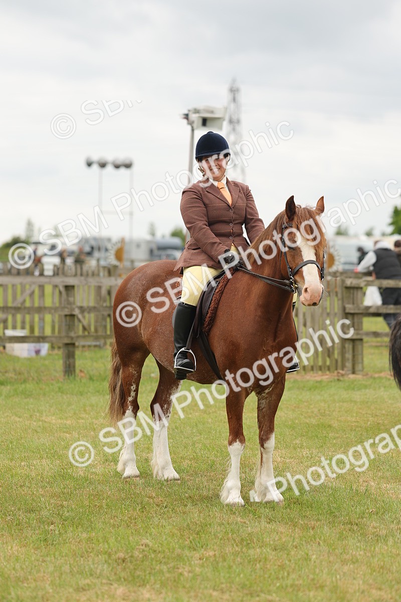SBM_07230 - Class 76-77 - Ridden M&M Welsh Ponies