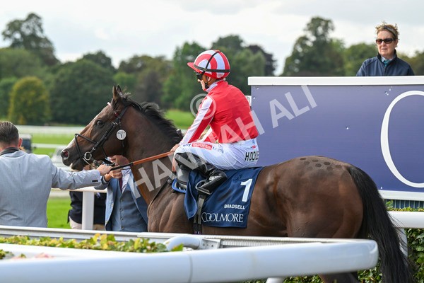 230824-Race 4-Bradsell-9336 - Race 4 3.35pm Coolmore Wootton Bassett Nunthorpe Stakes