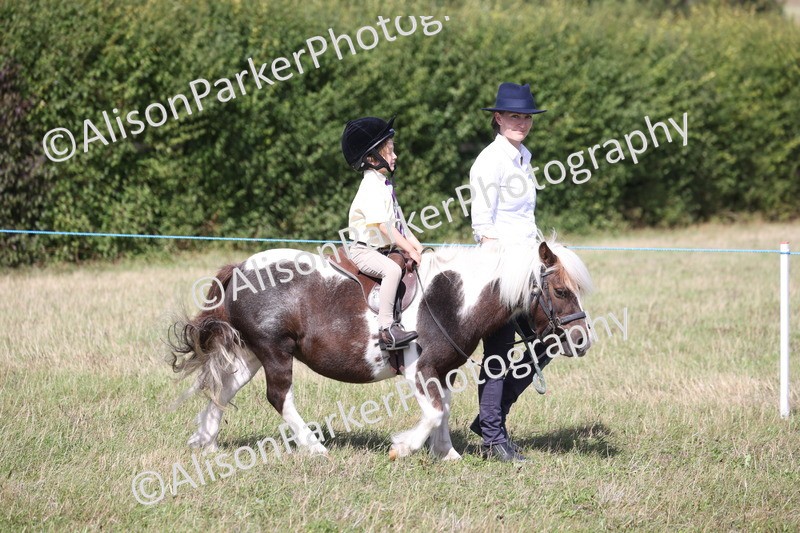 20260906-2735 - Class 25 - Absolute Beginners Pony