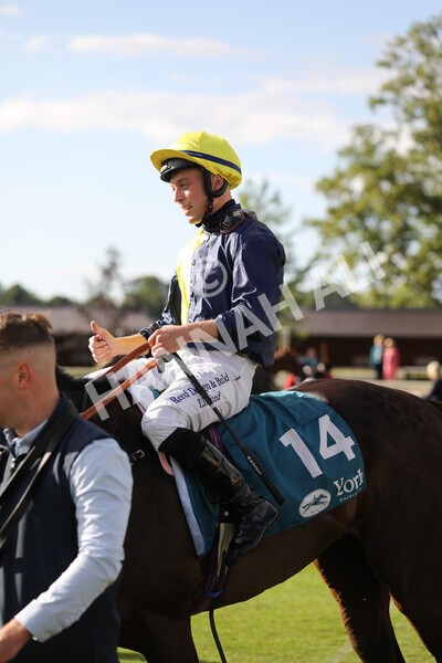 yr19082022r7-55 - Race 7 5.20pm Sky Bet Mile Stakes