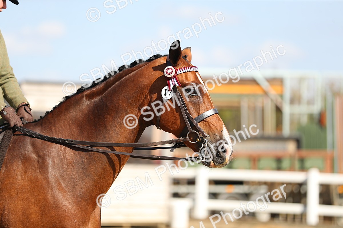 SBM_02350 - Class 43 Ridden Competition Horse/Pony