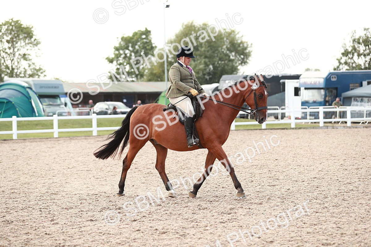 SBM_15501 - Class 213 Ridden Hunter -Large