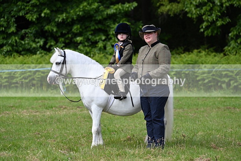 WJ7_0966 - Class 8 First Rally Pony