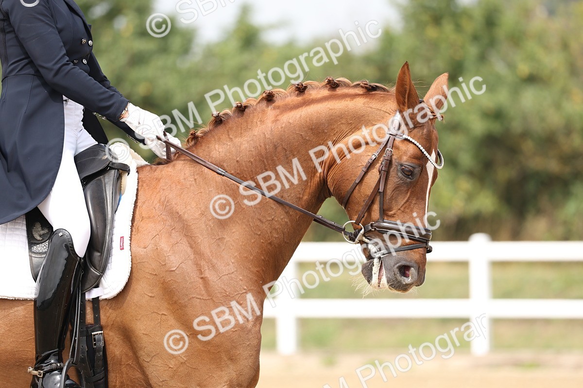 SBM_007183 - Class 9 - FEI INT I - 13.37-14.33