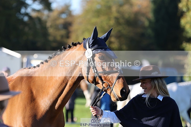 241027-090556-15031 - 355-Esther.Cook-GRANDISSIMO