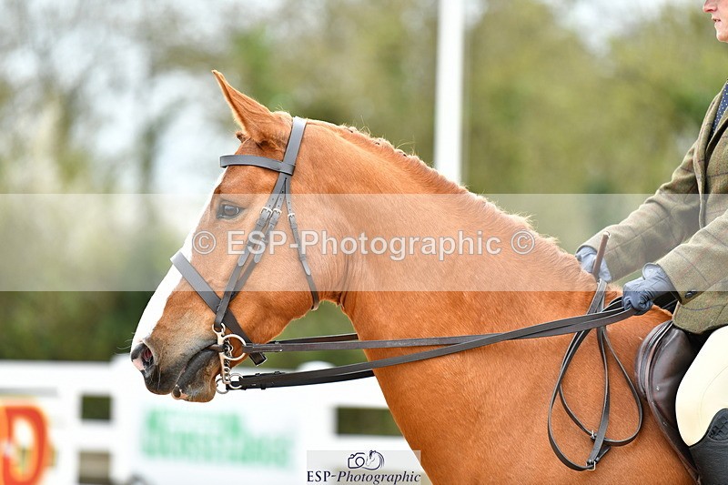 230416A-143247-05264 - Cls 74 Warmblood