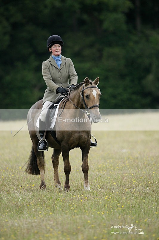 BVRC 030721 359 - Bourne Valley Riding Club Dressage 03/07/21