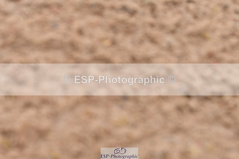 240121A-100053-00335 - Cls 2 Prelim 17A