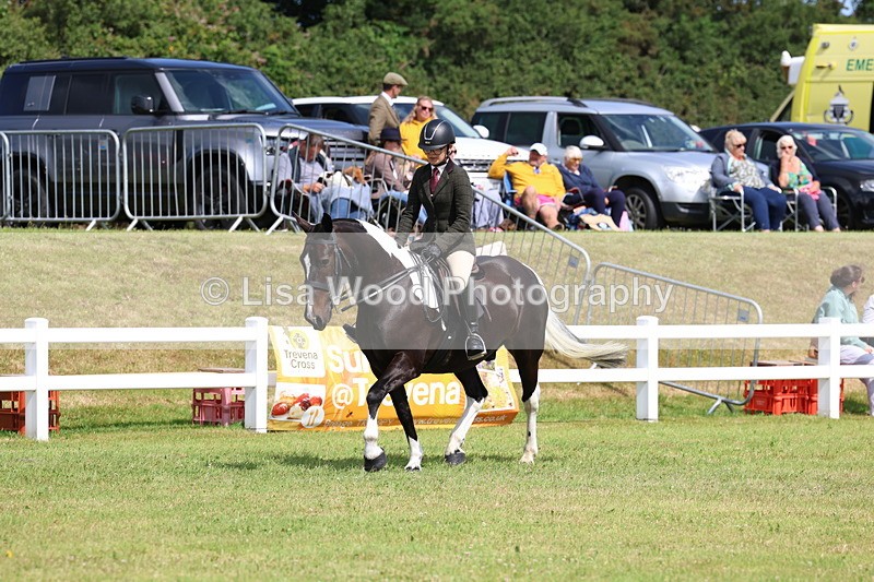 3E7A9832 - Class 5: Rising Star Lightweight/Heavyweight Cobs