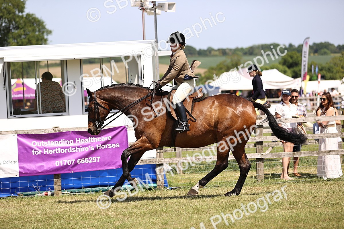 SBM_17743 - Class 81-83 - TSR Ridden Amateur of the Year - Horses