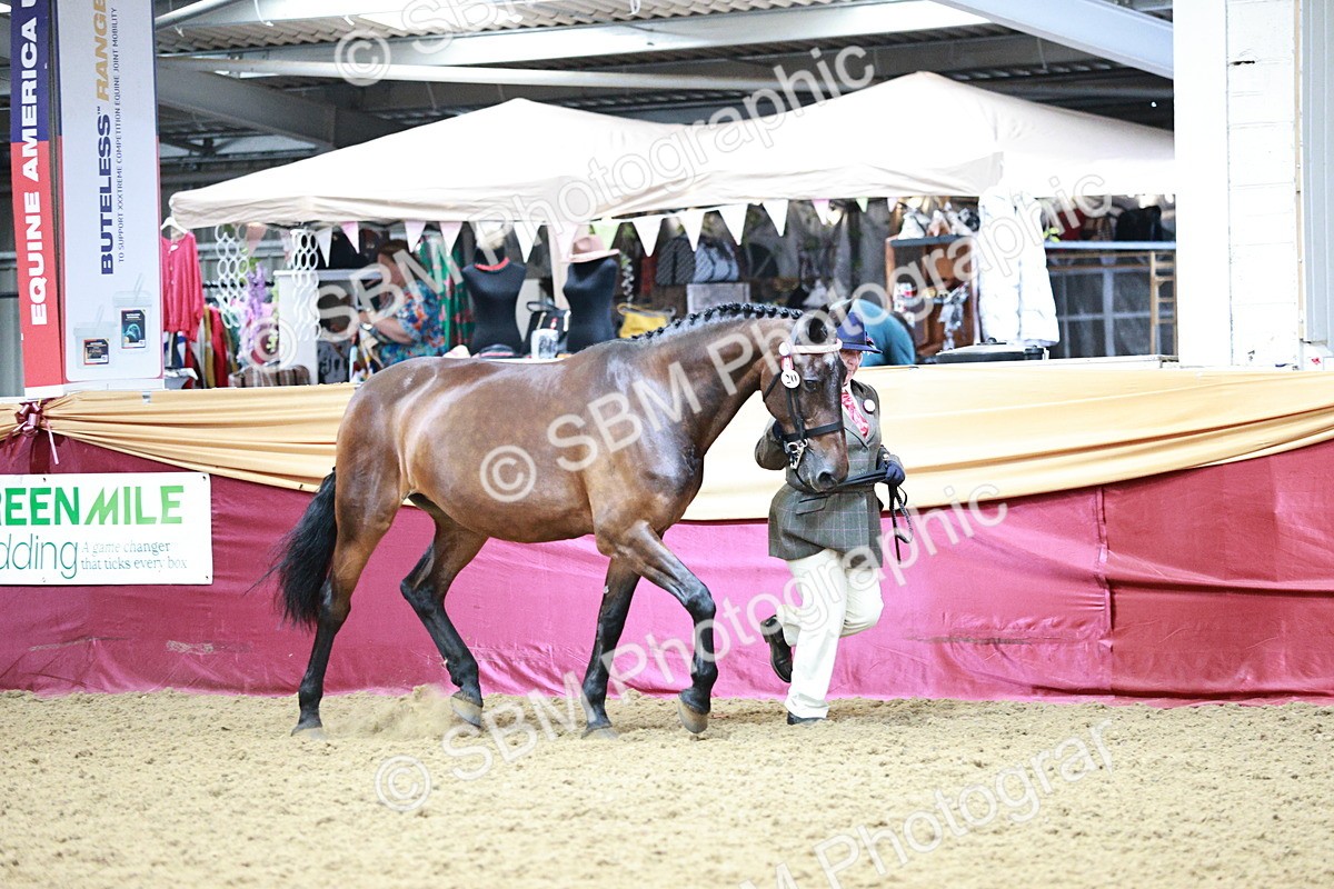 SBM_00870 - Class 2A - Area IH Veteran