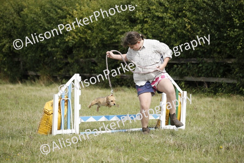 20250831-3881 - Dog Show