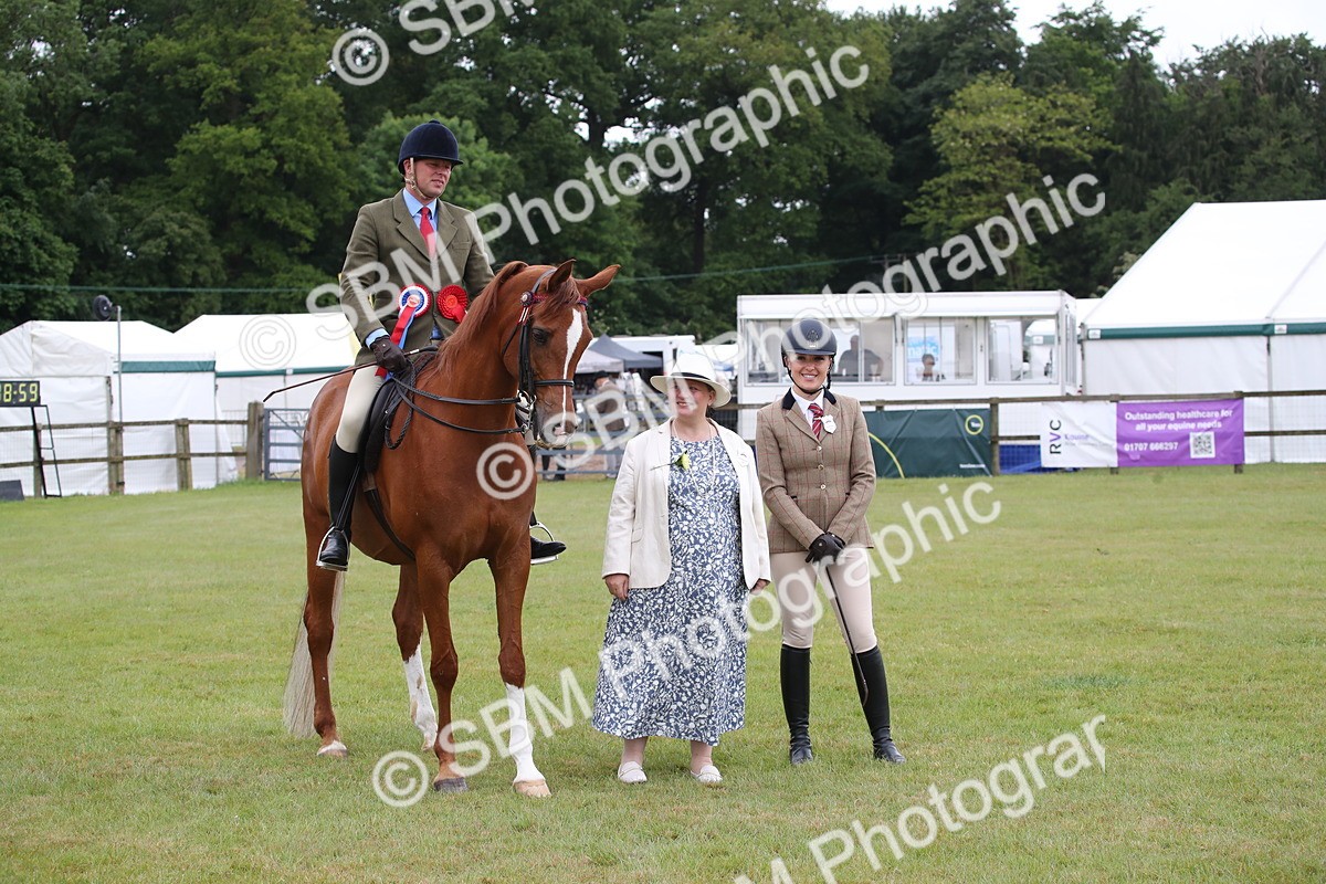 SBM_03647 - Class 21 - 22 - Ridden Arab and Part Bred/Anglo Arab