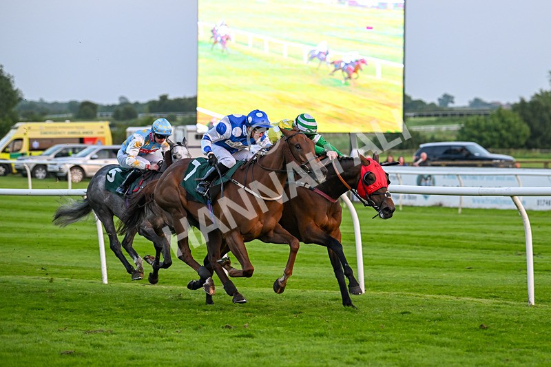 310524-Race 6-Mister Sox-9052 - Race 6