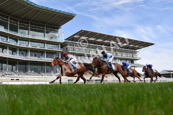 yr13052021r6-50 - Race 6 4.15pm Constant Security EBFstallions.com Maiden Stakes