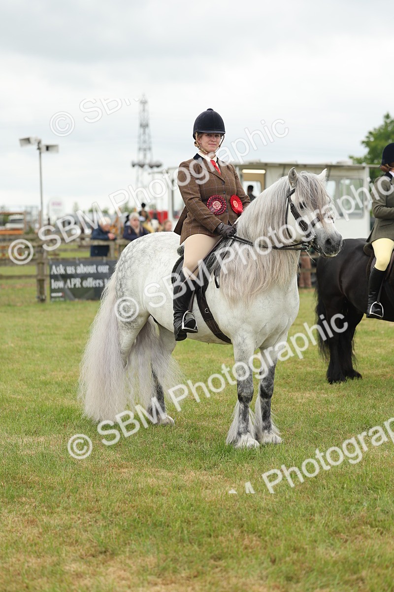 SBM_09032 - Class 78-80 - Ridden M&M Non Welsh Ponies