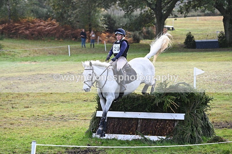 WJ6_2016 - 80cm Cam 1 Time 10:47 to 11:22