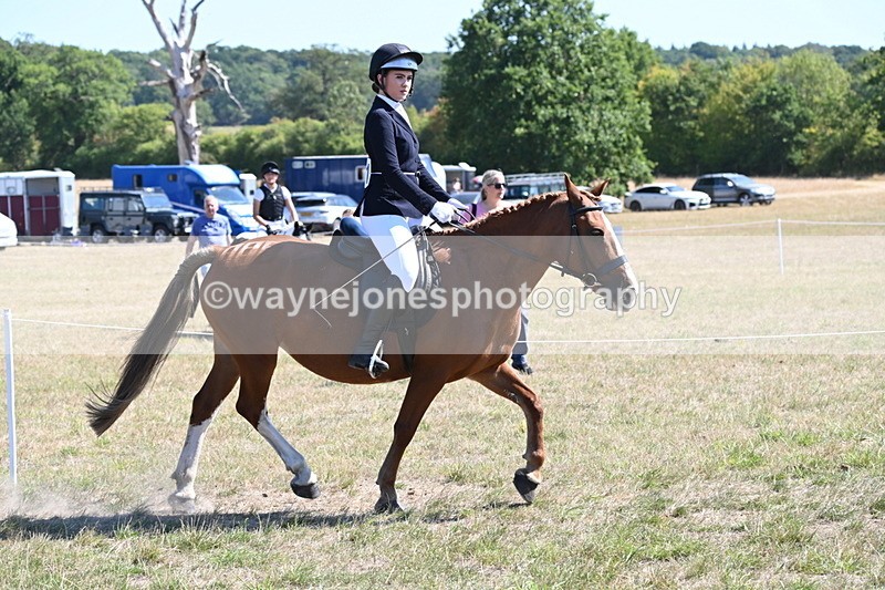 WJ6_8348 - Class 37a Best Loan Pony Ridden