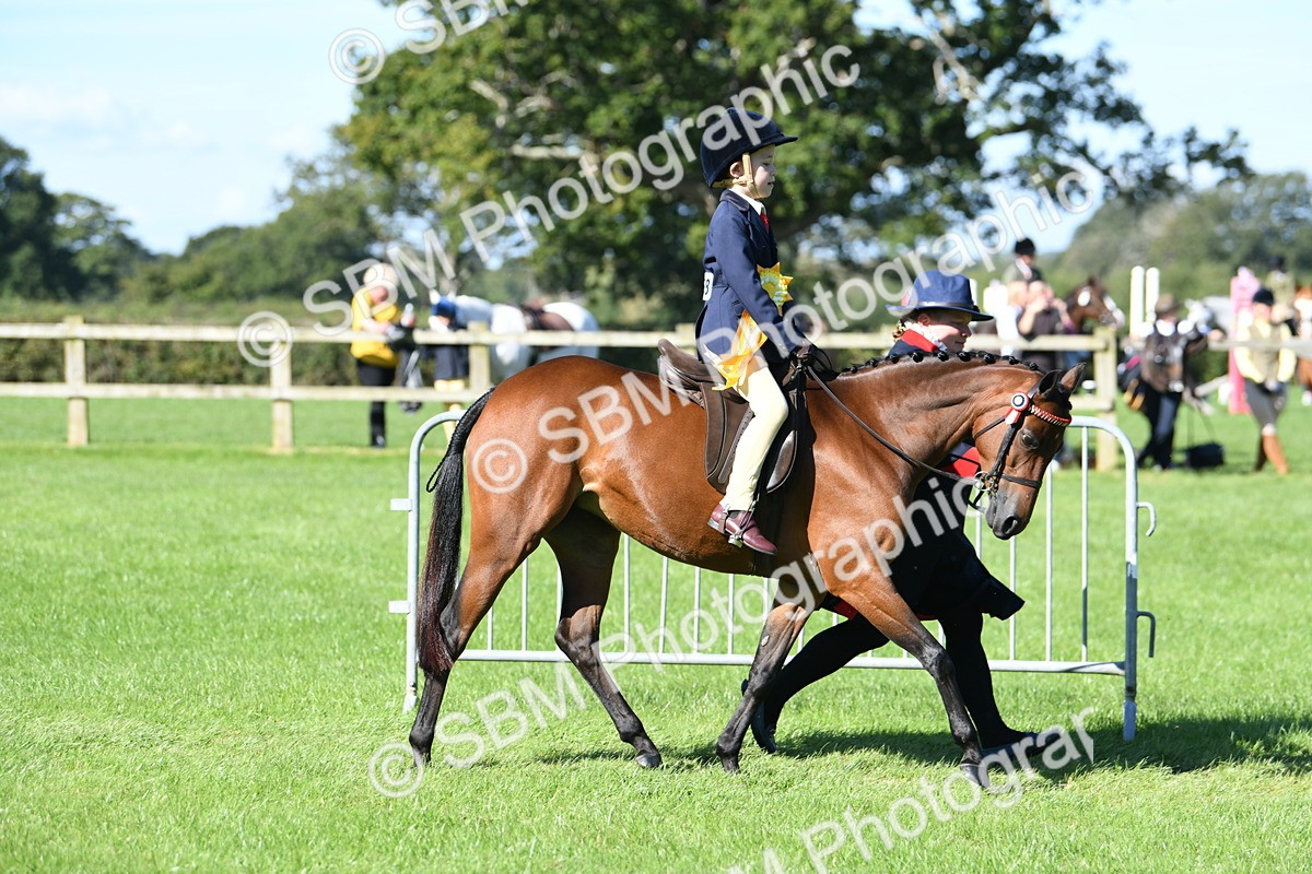 SBM_37113 - S18 - Novice & Newcomers Lead Rein Pony