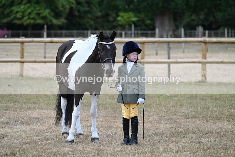 WJ7_9486 - Class 5 Most Handsome Gelding (up to 14.2hh)