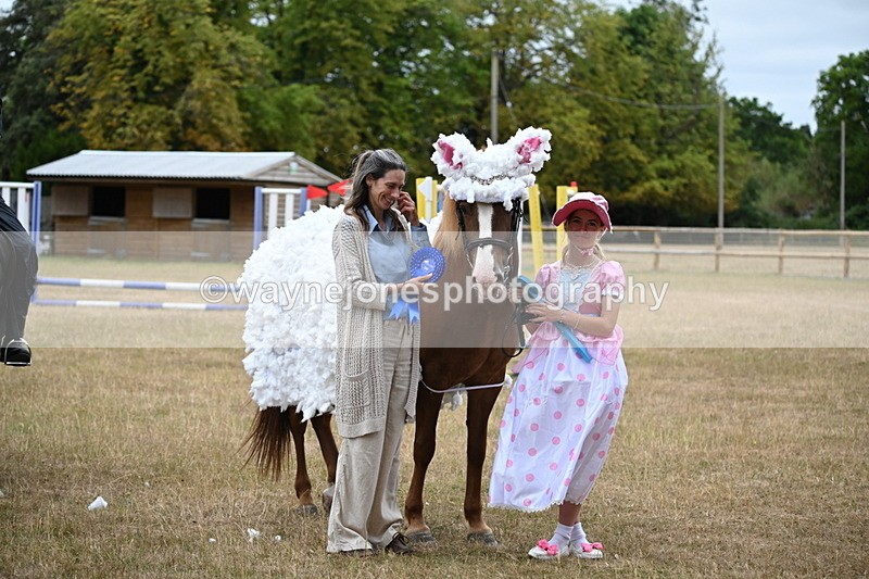 WJ6_9013 - Class 11 Fancy Dress