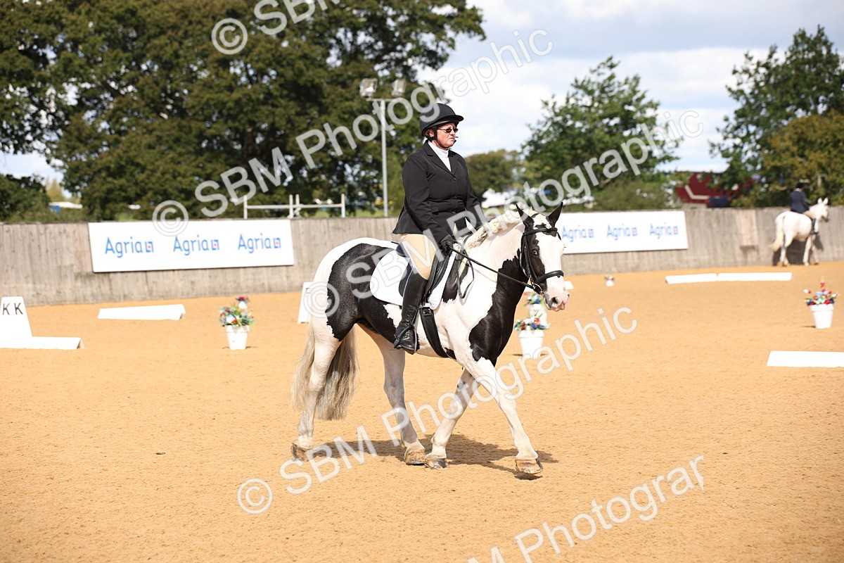 SBM_04322 - D2 Small Tour Championship Intro C