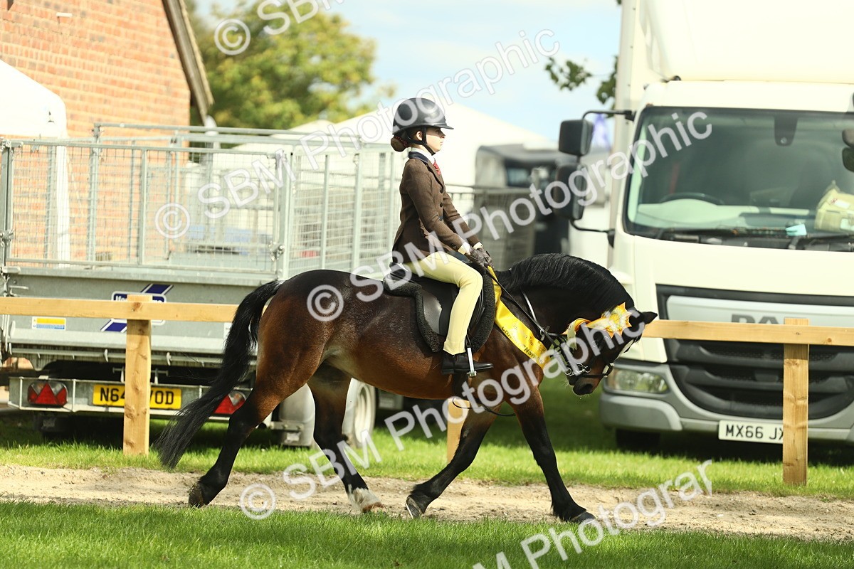 SBM_44916 - Working Hunter Pony Supreme Championship