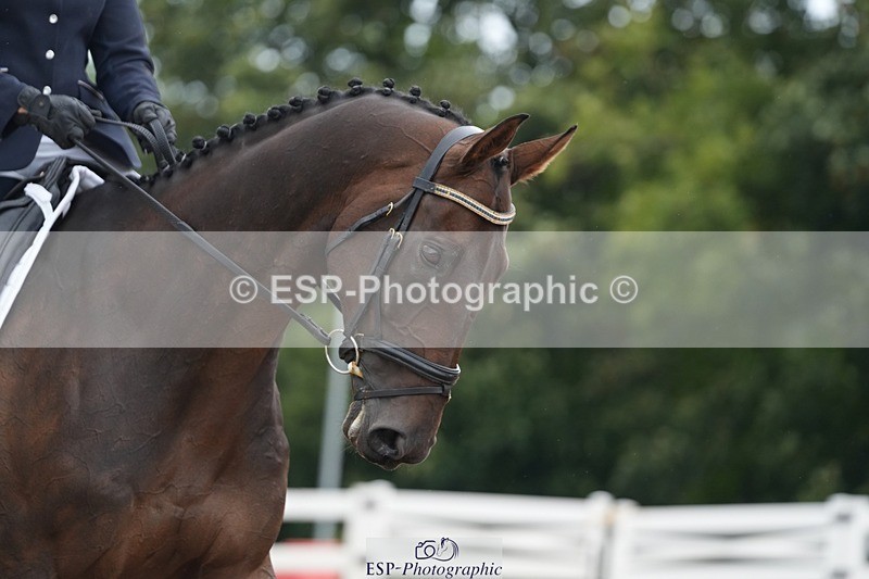 250907-124751-07420 - 097-Jude.FarrLoch.Arthur