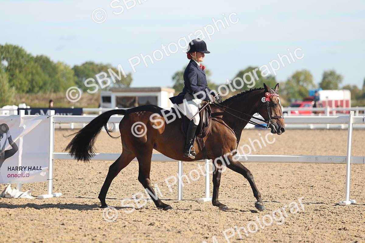 SBM_12171 - Class 303 - Ridden Pure Bred Horse Pony