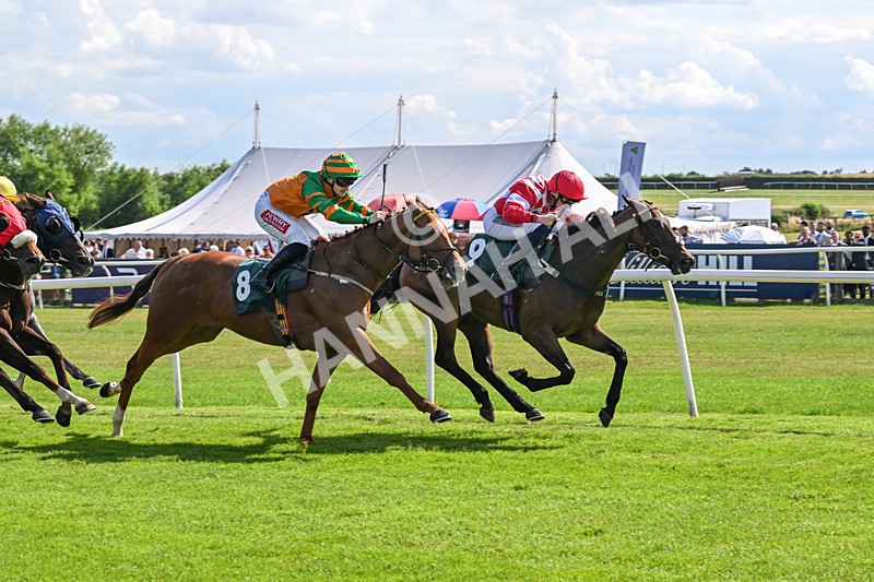 160725-Race 4-Lady Bouquet-9153 - Race 4