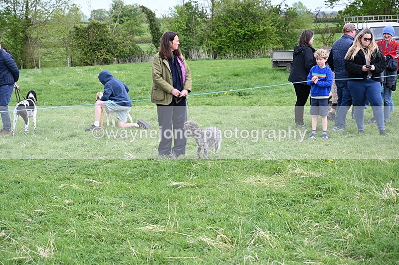 WJ6_8454 - Class 6 Best Rescue