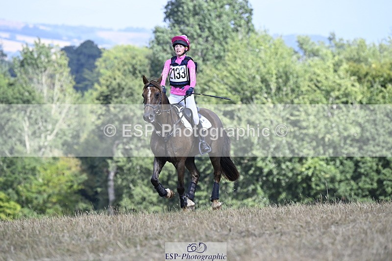 250824A-154624-39452 - 2133-Dolcie.Powell-Tresorya.Aled