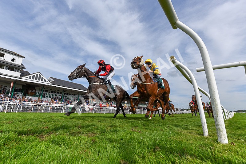 130524-Race 6-Stellarmasterpiece-5455 - Race 6