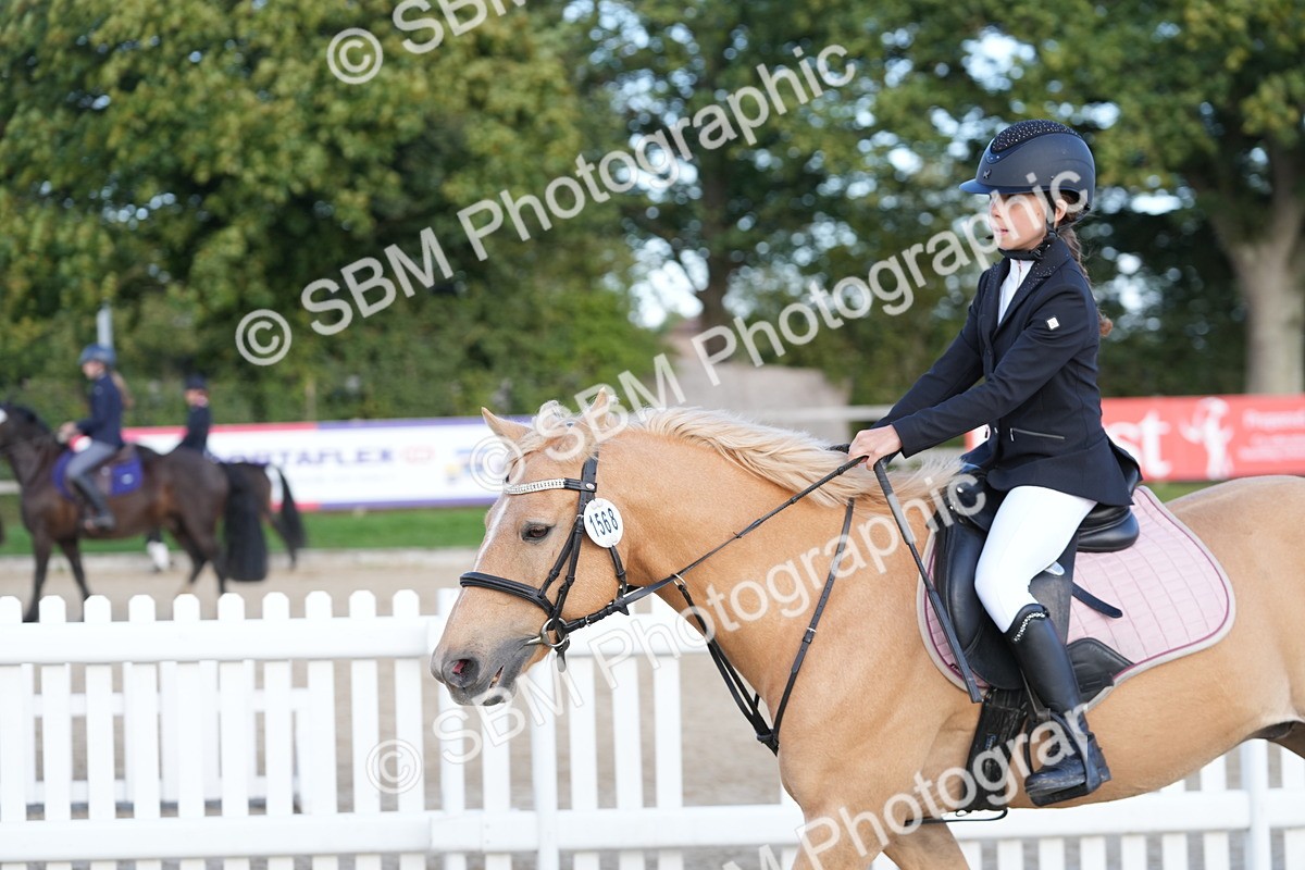 SBM_50952 - J8 - Junior Pony 65cm Championship
