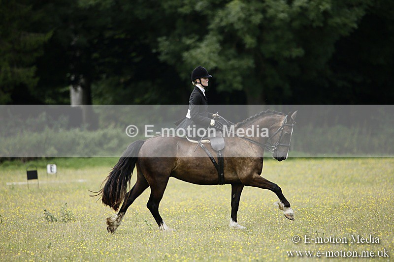 BVR160717-1585 - Side Saddle Classes 16/07/17