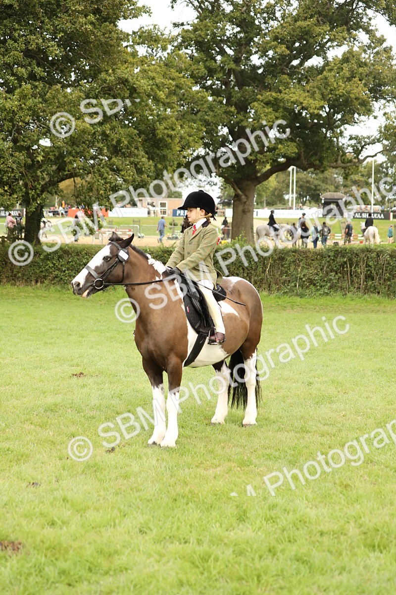 SBM_71566 - S41 - Ridden Equitation (Best Rider)