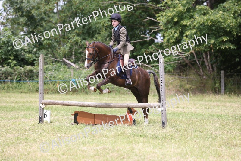 20260614-2851 - Class 22 - Open Working Hunter
