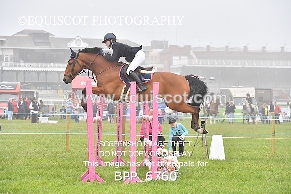 BPP_6760 - CLASS 2 RHS Classic Champ Qual (1.20m)