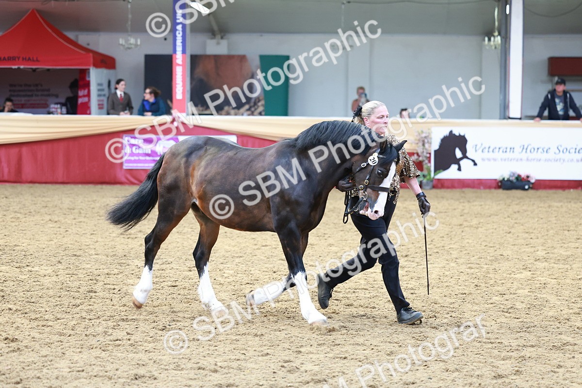 SBM_17494 - Class 951 - M&M IH Supreme Final