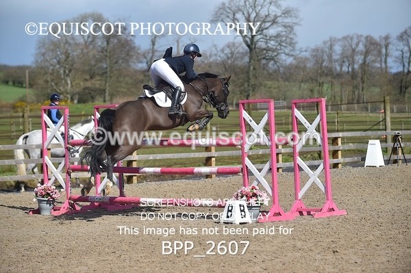 BPP_2607 - CLASS 28 48cm Pony Royal Highland Show Championship Qualifier