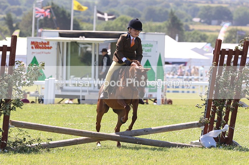JPP_2247 - Class 20: Tiny Tots Working Hunter Pony
