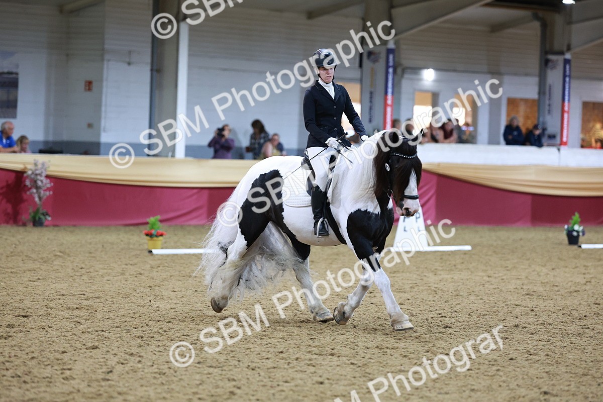 SBM_09952 - Class 61 - Dressage to Music